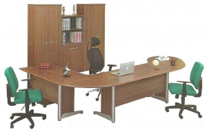 director
